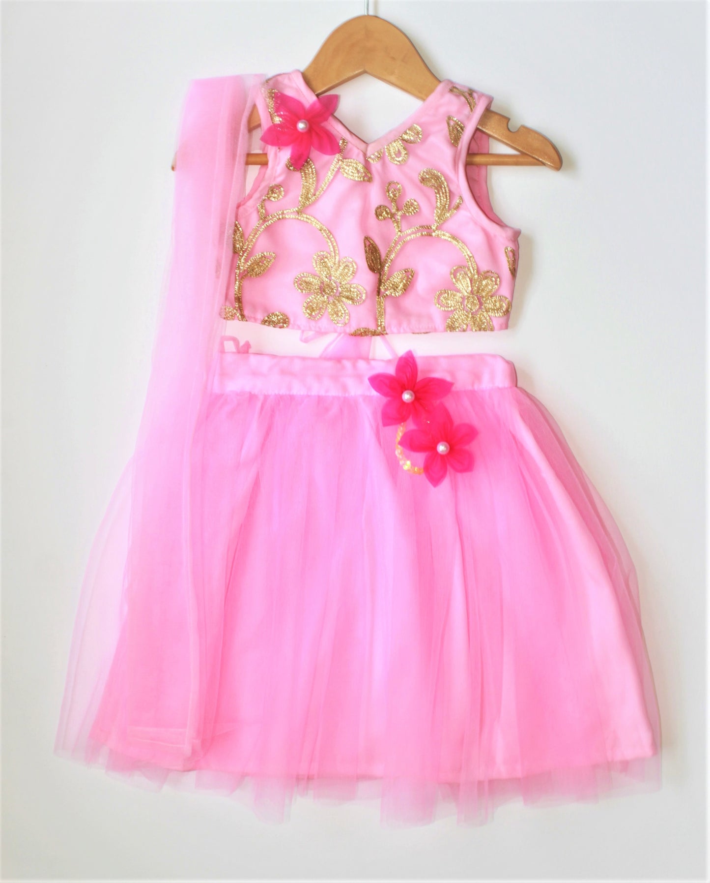 Many frocks & Gota Patti Detailing Sleeveless Choli With Lehenga - Light Pink